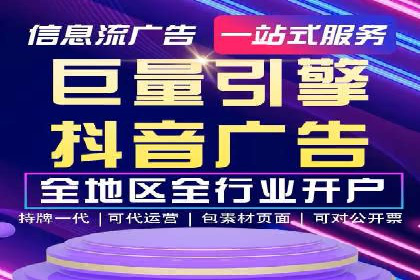 某电商平台的SEM广告投放策略及效果评估