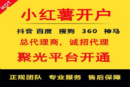 某某SEM团队成功提升网站流量与转化率的实战经验